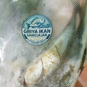 Ikan Benggol