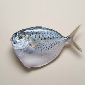 Read more about the article Ikan Bagong
