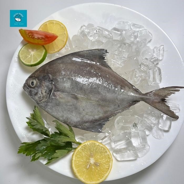 You are currently viewing Ikan Dorang